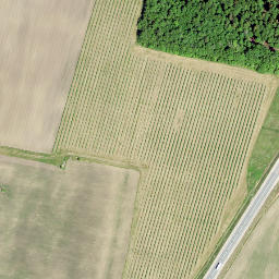 Satellite imagery of LV-EST, EE