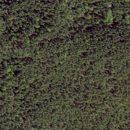 Satellite imagery of EST - RUS, EE