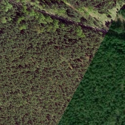 Satellite imagery of EST - RUS, EE
