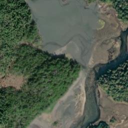 Satellite imagery of Point Shultz, US