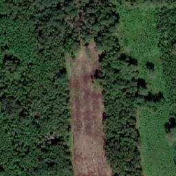 Satellite imagery of Svirpu Milzakmens, LV