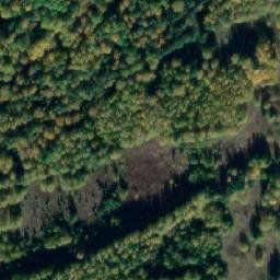 Satellite imagery of Kamen’ Zhuravlik, RU