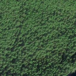 Satellite imagery of Midway Point, US