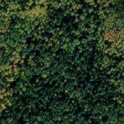 Satellite imagery of Kamen’ Starushka, RU