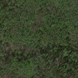 Satellite imagery of Kamen’ Sobach’i, RU