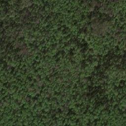 Satellite imagery of Kamen’ Sobach’i, RU