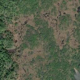 Satellite imagery of Hogan Point, US