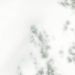 Satellite imagery of Sheppard Peak, CA