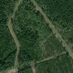 Satellite imagery of Rīgas rātes mežu robežakmens, EE