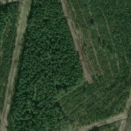 Satellite imagery of Rīgas rātes mežu robežakmens, EE