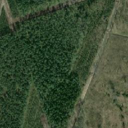 Satellite imagery of Rīgas rātes mežu robežakmens, EE