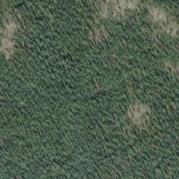 Satellite imagery of Spruce Hill, CA