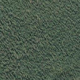 Satellite imagery of Spruce Hill, CA