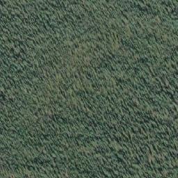 Satellite imagery of Spruce Hill, CA