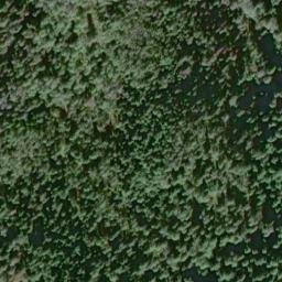Satellite imagery of White Cliff Point, US