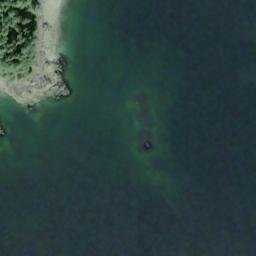 Satellite imagery of White Cliff Point, US