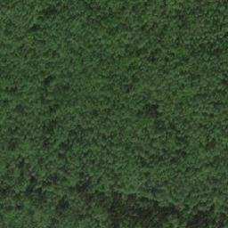 Satellite imagery of Kamen’ Zhedëltyy, RU