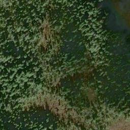 Satellite imagery of Rodgers Point, US