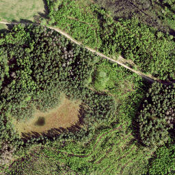 Satellite imagery of Palpiera Naudas Akmens, LV