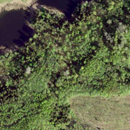 Satellite imagery of boundary_stone, EE
