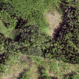 Satellite imagery of Palpiera Naudas Akmens, LV