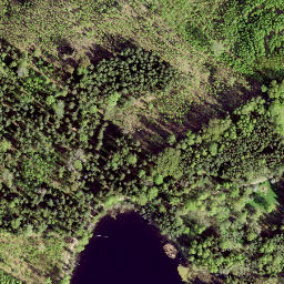 Satellite imagery of Palpiera Naudas Akmens, LV