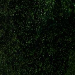 Satellite imagery of Kamen’ Romanov, RU