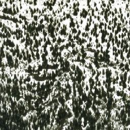 Satellite imagery of Mount Finlay, CA