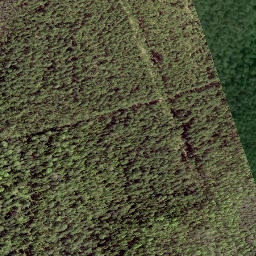 Satellite imagery of LV-RUS, EE