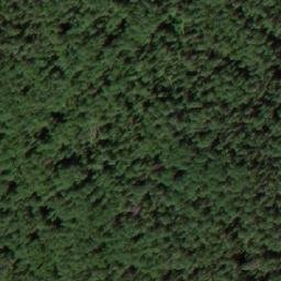 Satellite imagery of Kamen’ Grebni, RU