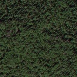 Satellite imagery of Kamen’ Grebni, RU