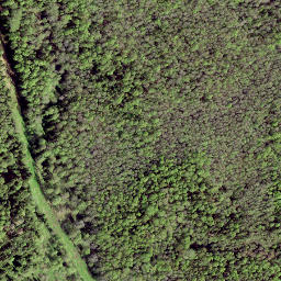Satellite imagery of EST, EE