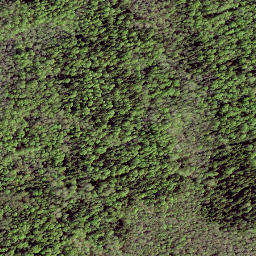 Satellite imagery of LV-RUS, EE