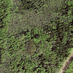 Satellite imagery of LV-RUS, EE