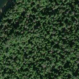 Satellite imagery of Dead Tree Bluff, US