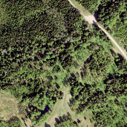 Satellite imagery of EST, EE