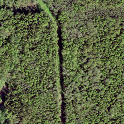 Satellite imagery of EST, EE