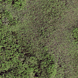 Satellite imagery of LV-RUS, EE