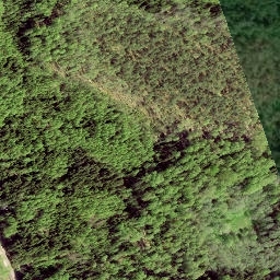 Satellite imagery of LV-RUS, EE