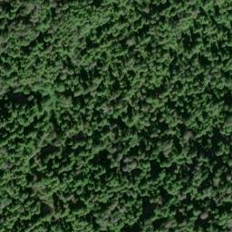 Satellite imagery of Dead Tree Bluff, US