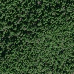 Satellite imagery of Dead Tree Bluff, US