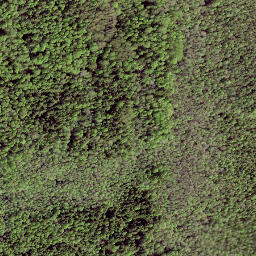 Satellite imagery of boundary_stone, EE