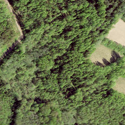 Satellite imagery of LV-RUS, EE