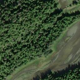 Satellite imagery of Point Bridge, US