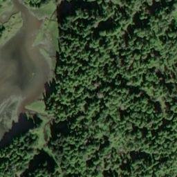 Satellite imagery of Point Bridge, US