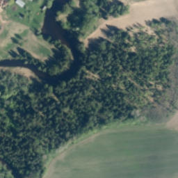 Satellite imagery of Grūbes Dolomīta Atsegums, LV