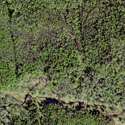Satellite imagery of boundary_stone, EE