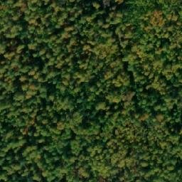 Satellite imagery of Осиновский Тракт, RU