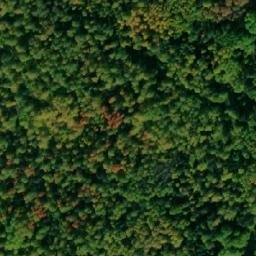 Satellite imagery of Осиновский Тракт, RU