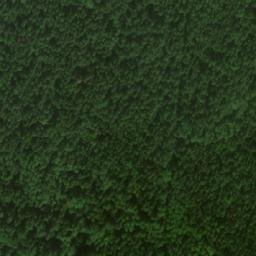 Satellite imagery of Зелёная Гора, RU